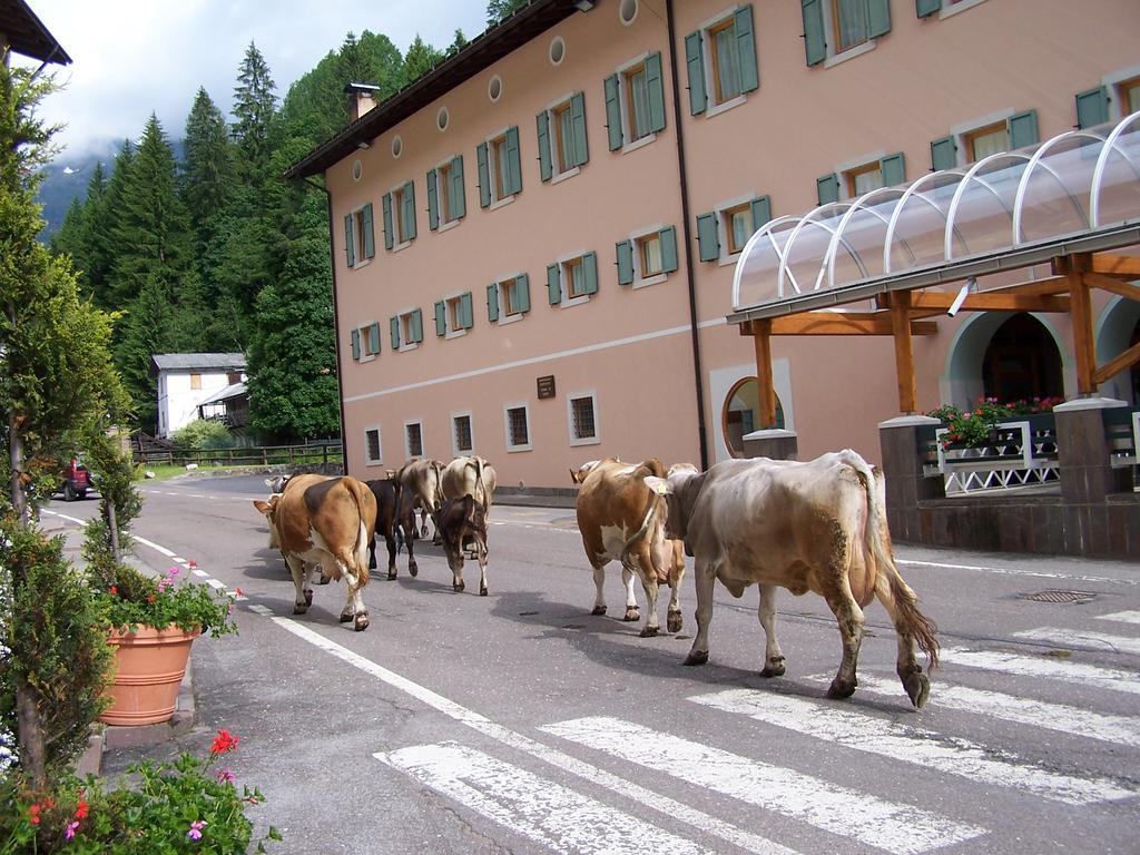 Grand Hotel Rabbi Bagni di Rabbi Exterior photo