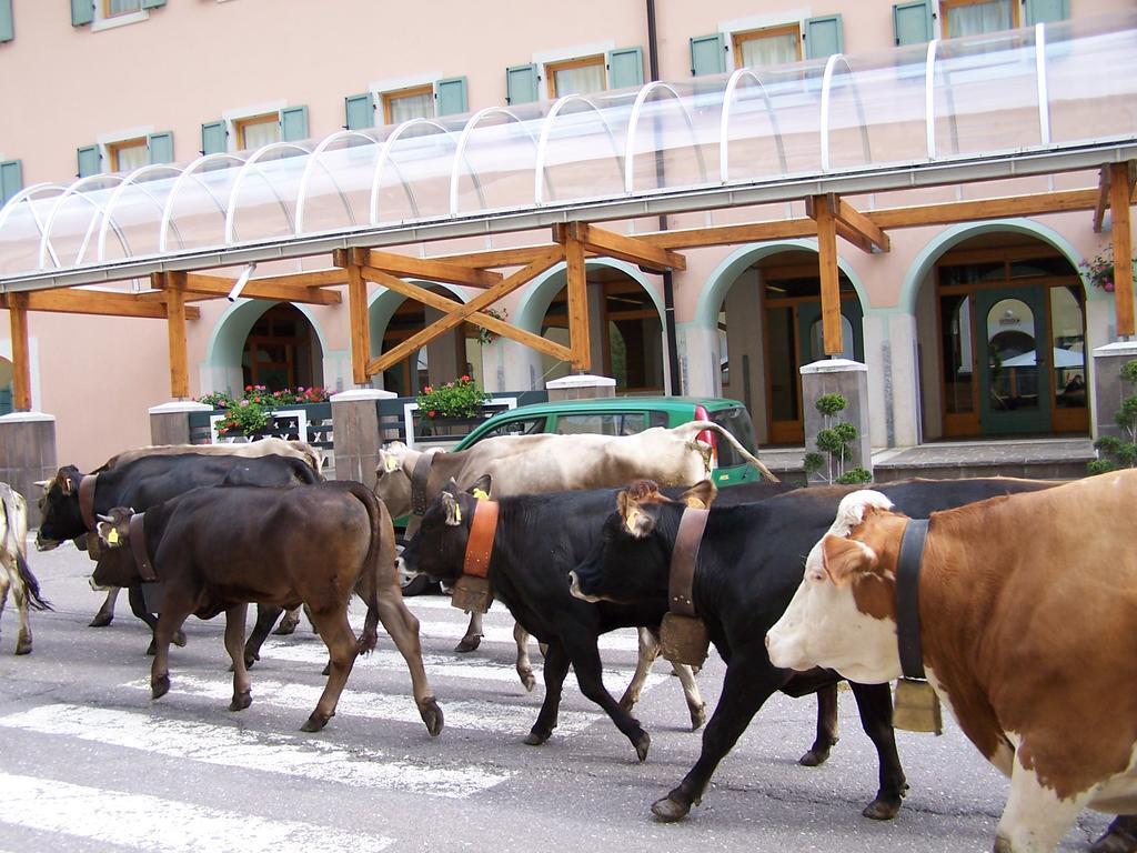 Grand Hotel Rabbi Bagni di Rabbi Exterior photo